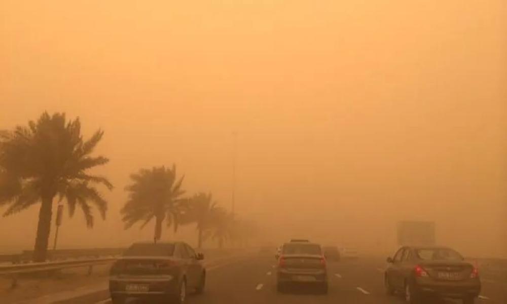 F295e260 f86d 494a 9546 06d0e8a39e10 file.jpg