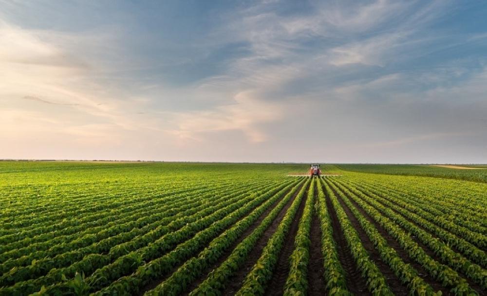 F2c91e9b 231e 4573 b421 c15f06d956ae file.jpg