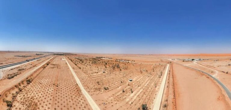 F4aede96 ce42 4de1 b830 1f9539333e12 file.jpg