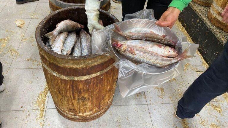 F7672c2d 281f 436a a7d3 54d951489a61 file.jpg