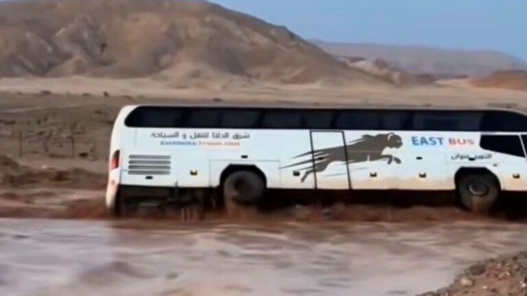 F782b63a e561 45f6 b000 261d8337977b file.jpg