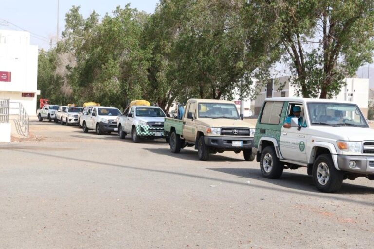 F96ce627 26d0 48c7 8a85 123b49de5d8e file.jpg