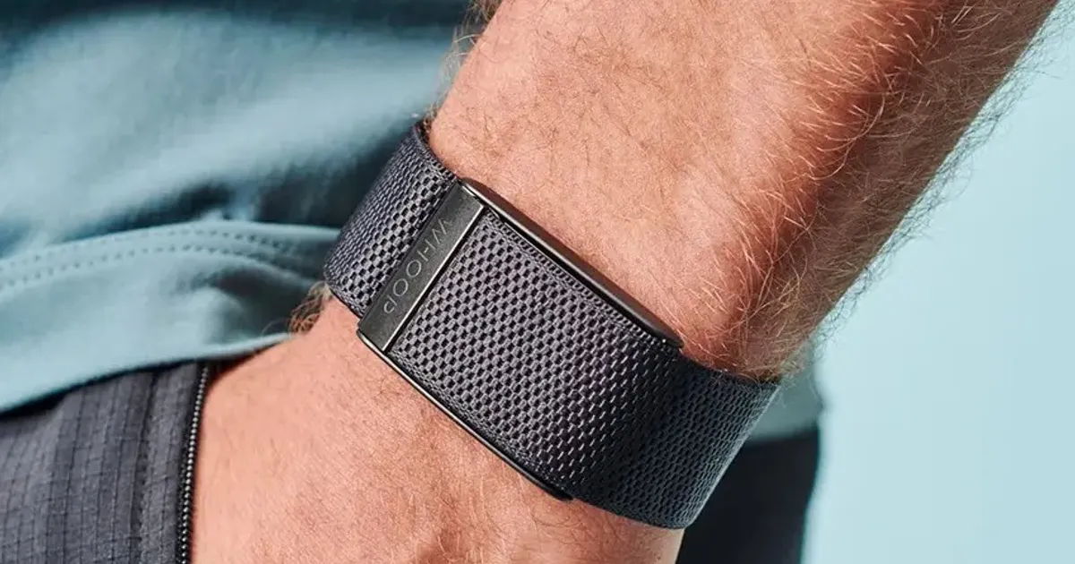 Fb483086 24ec 4b5a 9a66 39afc32b7785 file.webp