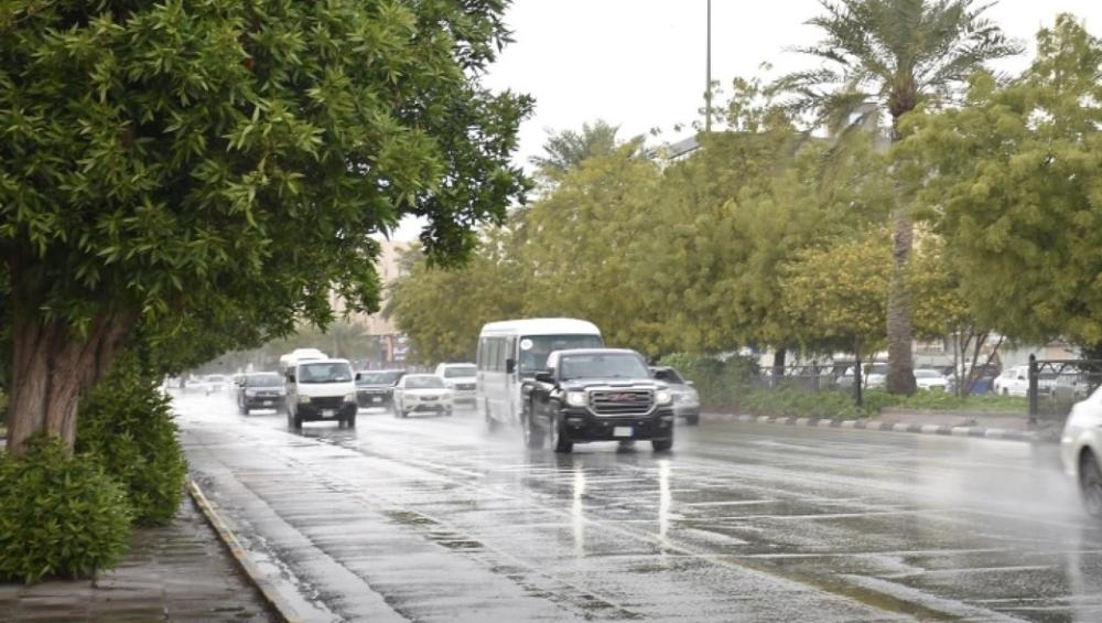 Fb48d2d1 8b9f 4c92 a03d 99e422f201d4 file.jpg