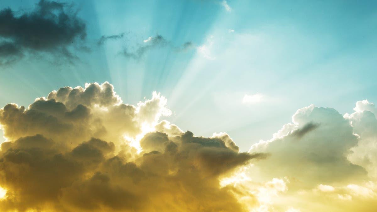 Fe25ca78 3307 4f92 86e8 fff88cf9ff5b file.jpg