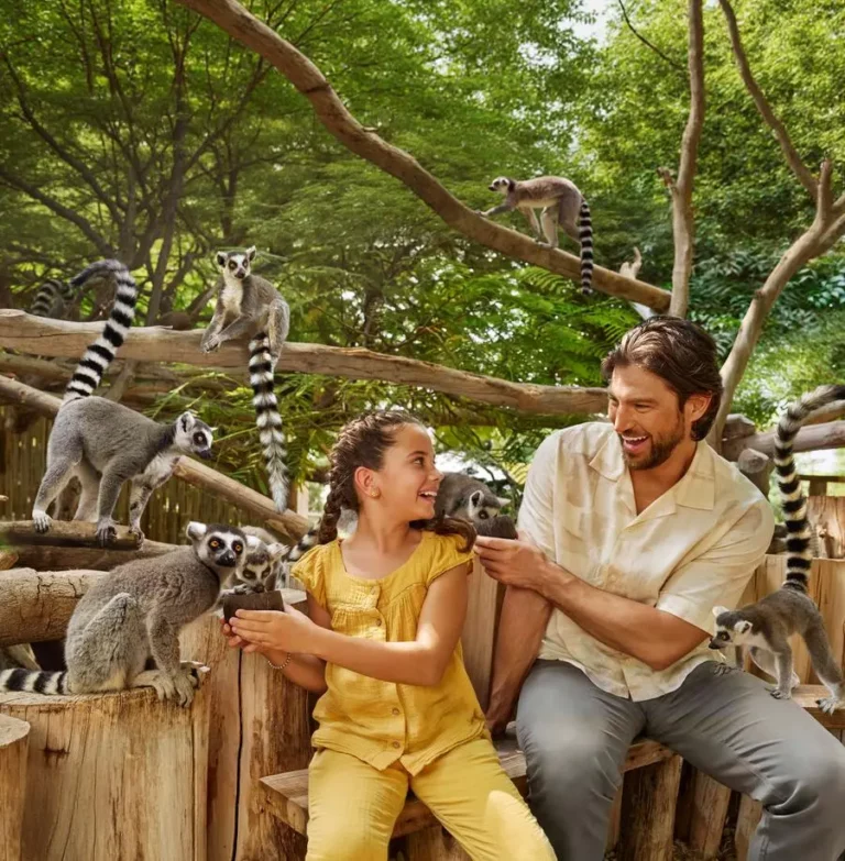 Fe25dae4 2dc8 4ff0 94bf 517e9107c652 zawta.webp