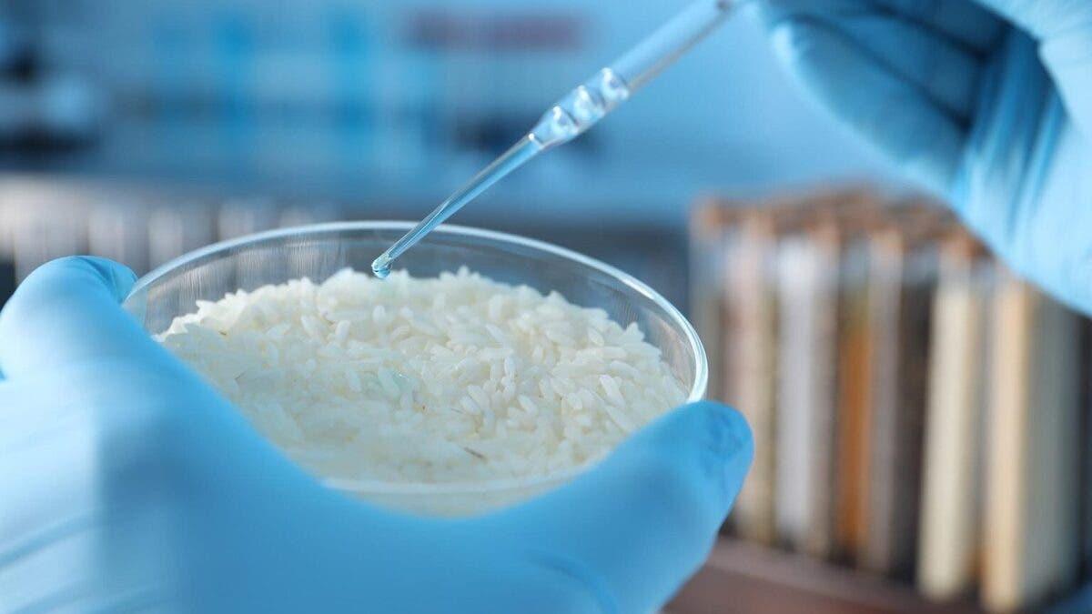 Ff7ccc8c d65b 4791 b3f6 3ca86b49a91f file.jpg