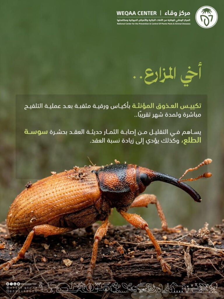 Fc42bee0 761e 40c1 8ceb d1c2a00cd2e3 file.jpg