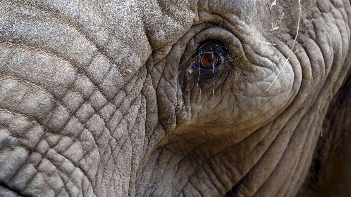06955958 5cb4 4e64 8242 92abfeb46eb7 file.jpg
