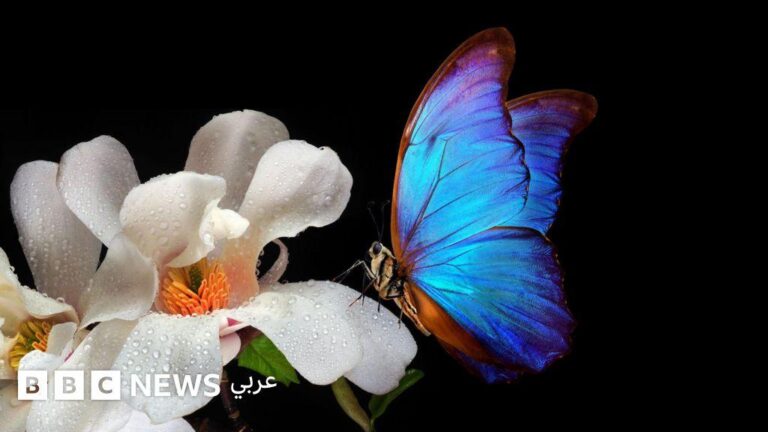 36c590a9 0fc4 4a97 8907 33534351283c file.jpg