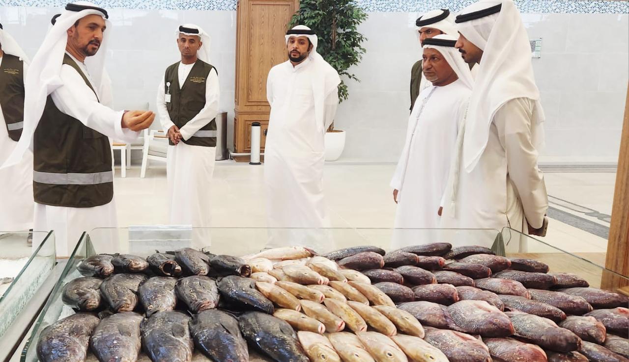 إغلاق 31 منشأة.. «التغير المناخي والبيئة» تتخذ إجراءات قانونية بحق المنشآت غير الملتزمة
