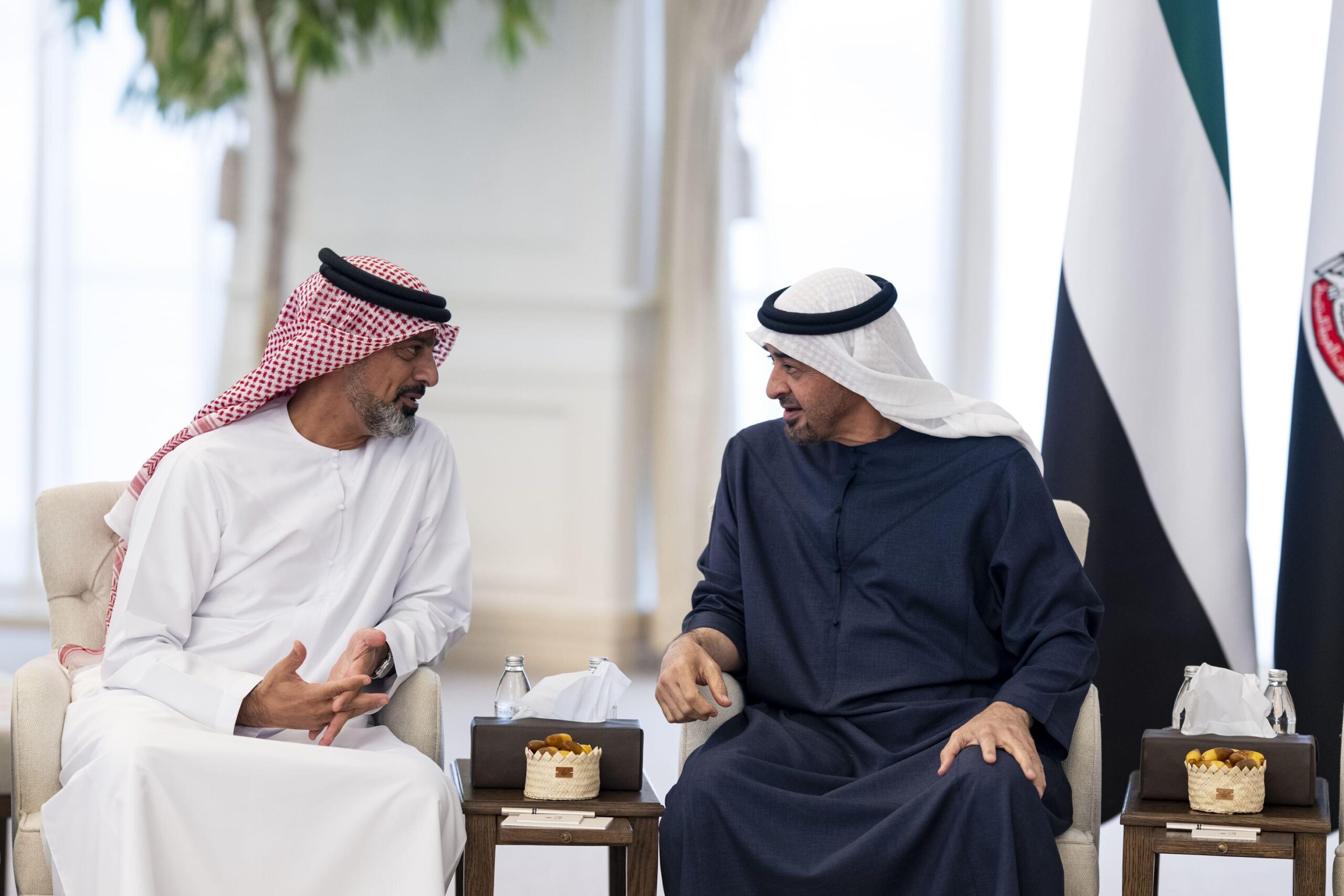 رئيس الدولة يستقبل ولي عهد عجمان ويبحثان شؤون الوطن والمواطن