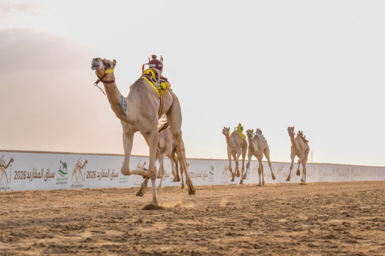 البلوي يتوج الفائزين في نهائي سباق المفاريد