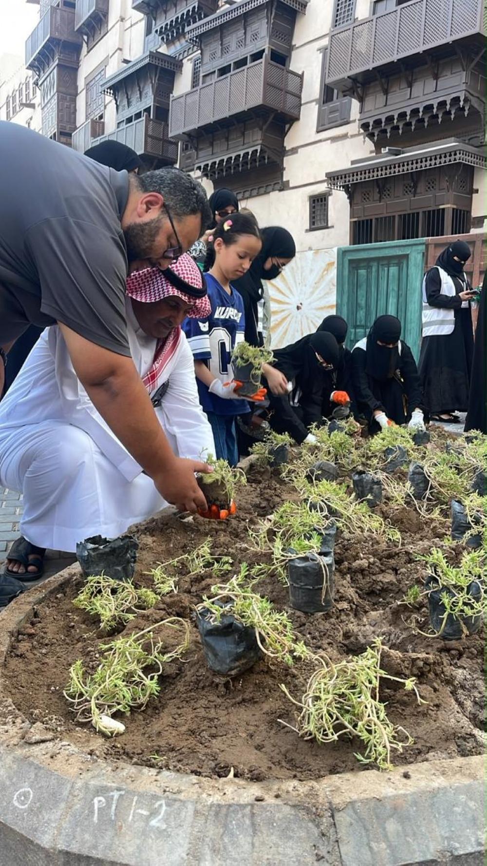 تشجير جدة التاريخية.. زراعة 3 آلاف شتلة بمشاركة الفرق التطوعية