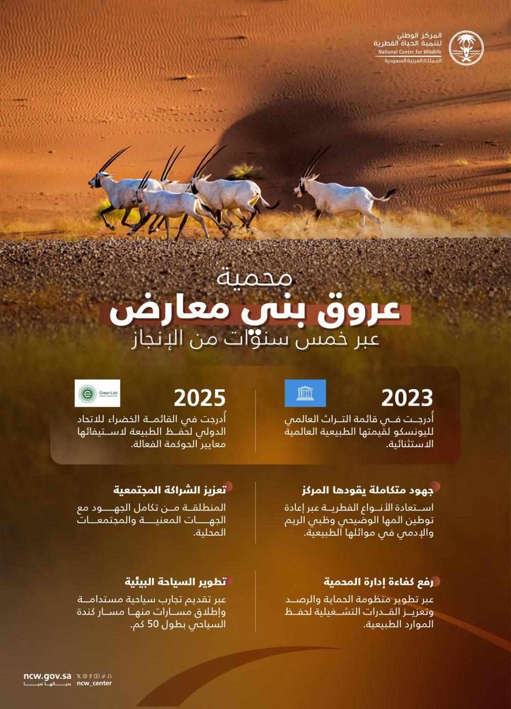 محمية عروق بني معارض.. إنجازات 5 أعوام تعزز مكانتها بين الأبرز عالميا