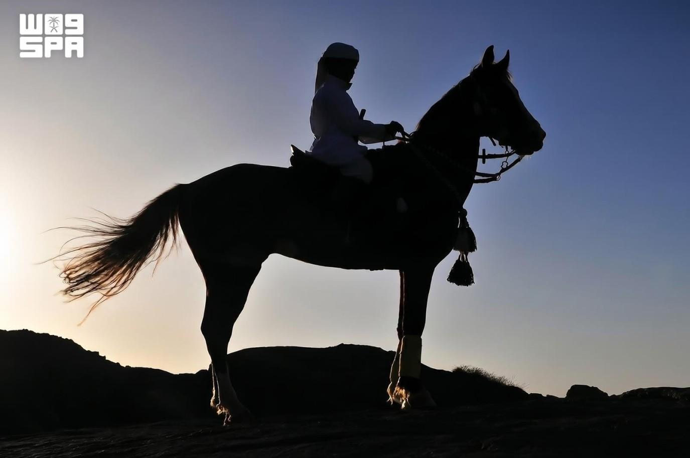 في يوم التصوير العالمي: نجران.. أيقونة سياحية وحضارية ترويها عدسات المبدعين