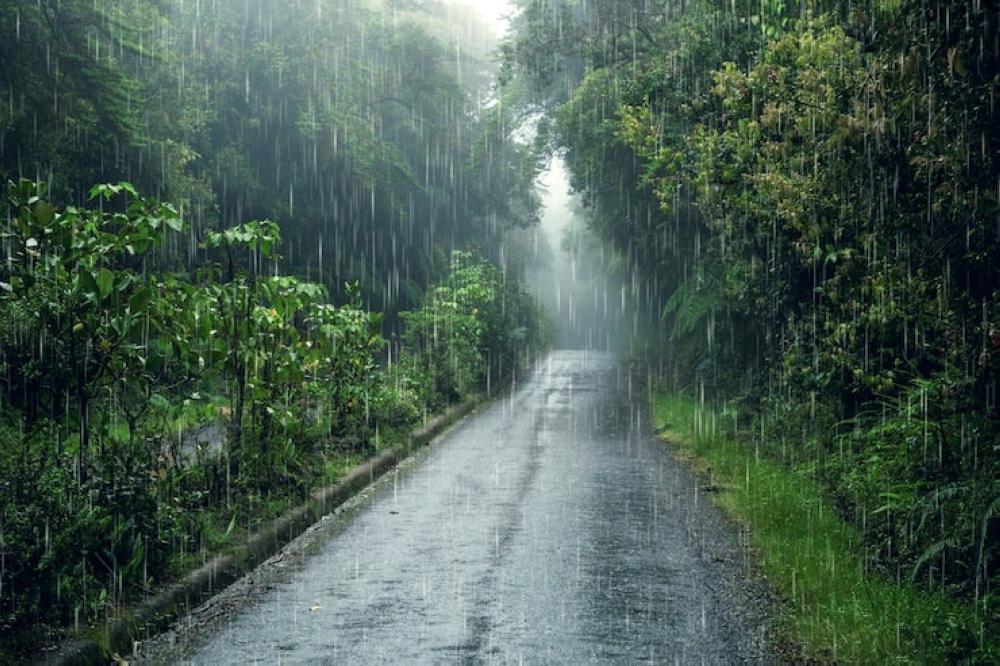 تبدأ 12 ظهرًا.. “إنذار أحمر” من أمطار غزيرة على عسير وجازان