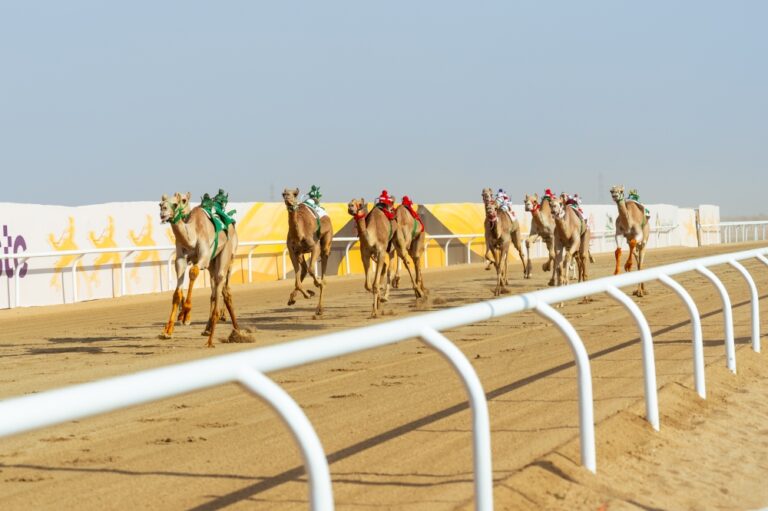 البلوي: دعم أشواط الإنتاج منح السعوديين فرصة للتنافس وبناء استثمارات مجدية=