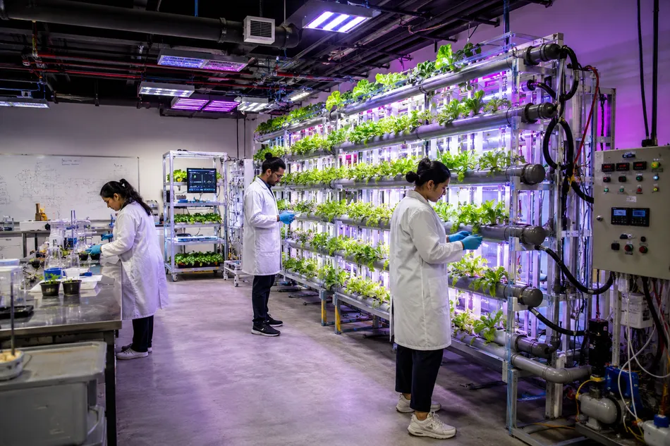 F14c1c08 120c 4545 809b 170ea92ffb28 zawya.webp